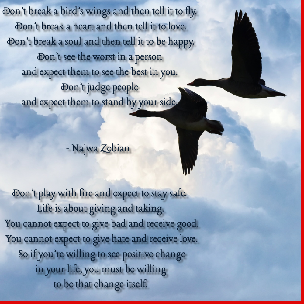 Najwa_Zebian_-_don't_break_a_birds_wing_and_then_tell_it_to_fly Quote Card